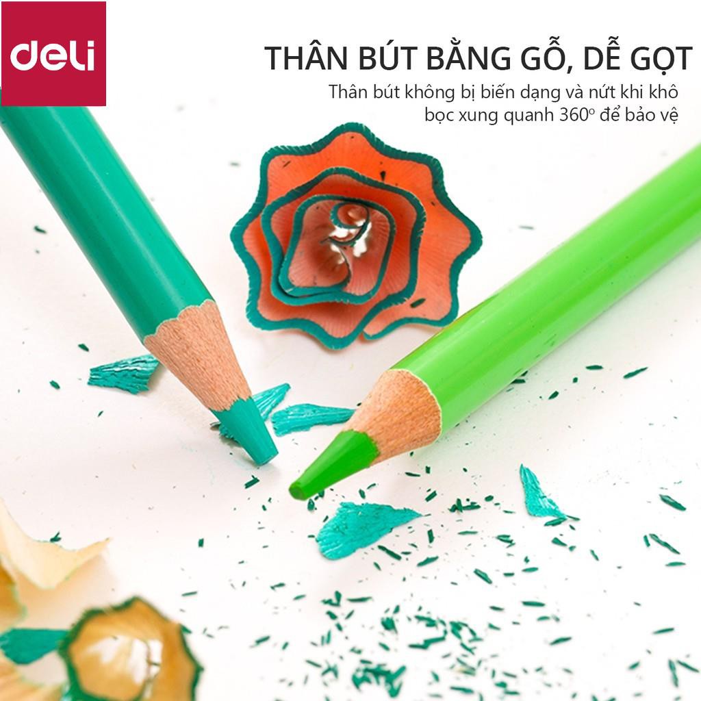 Bút chì màu gốc dầu cao cấp Deli - gỗ tự nhiên - 24/ 36/ 48/72 Màu - 6565 / 6566 / 6567 / 6568 [Deli]