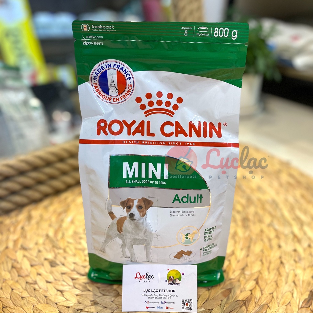 Hạt Royal Canin Mini Adult cho chó trưởng thành giống chó nhỏ - Túi 800gr chính hãng