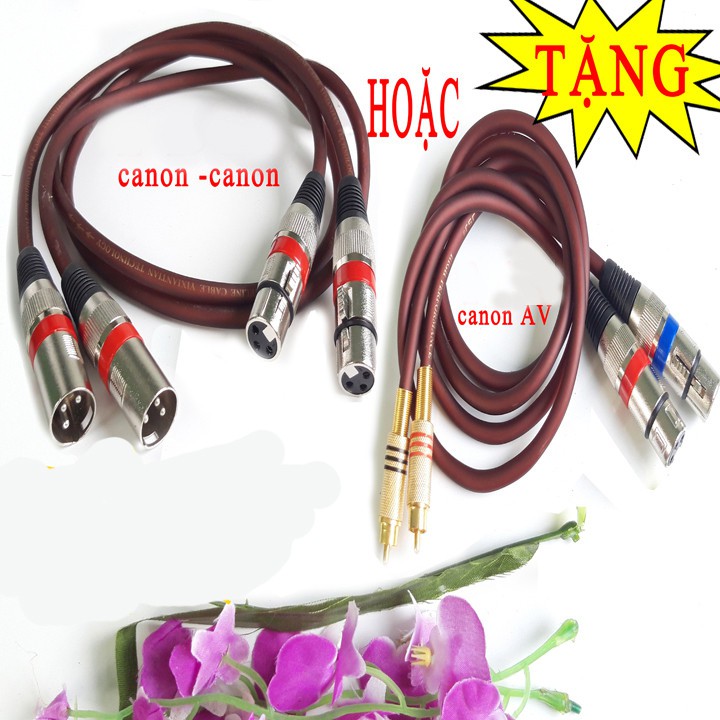 Nâng tiếng cao cấp Idol IP100 + TẶNG dây canon