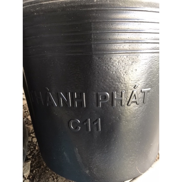 Chậu nhựa đen C11