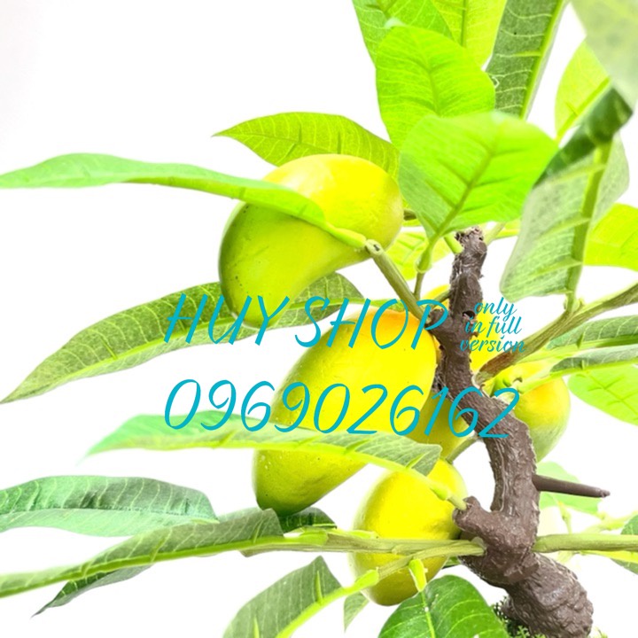 Hoa trái giả - Chậu cây trái XOÀI nhân tạo trang trí nhà cửa