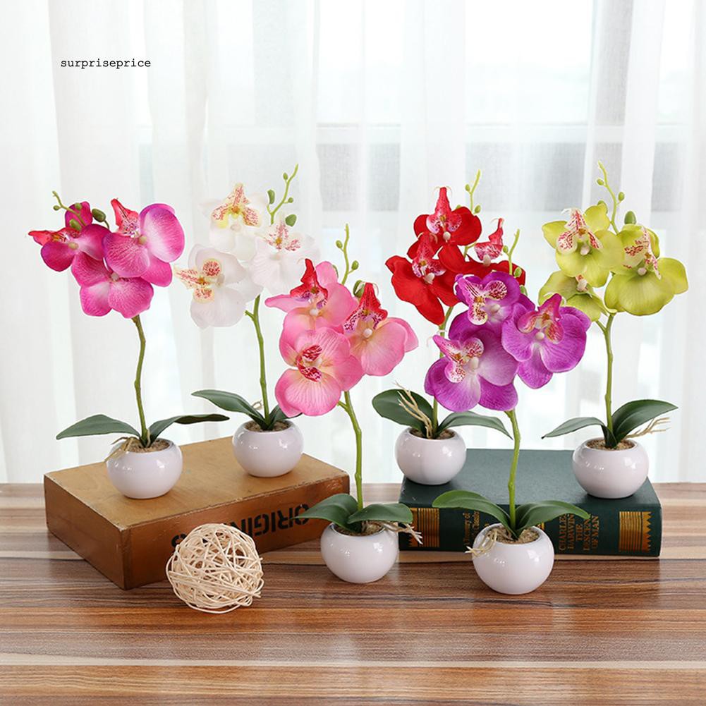 1 Chậu Hoa Lan Cánh Bướm Nhân Tạo Trang Trí Sân Khấu / Tiệc Cưới