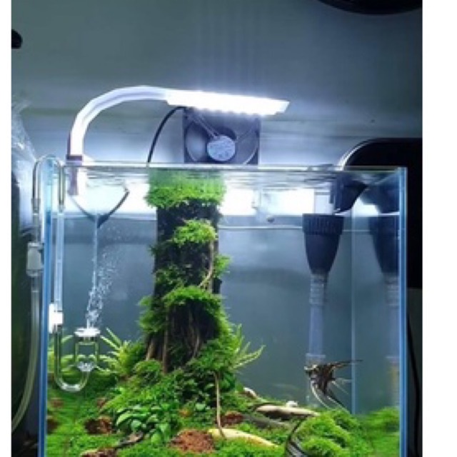 Đèn Led Kẹp Cho Bể Cá Cảnh, Thủy Sinh 25-40cm, 10W