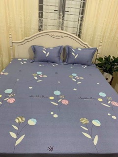 Sét ga gối cotton Hàn m6*2m