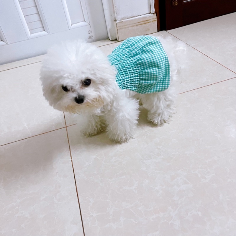 Đầm Xòe Xinh Xắn Cho Thú Cưng Siêu Rẻ