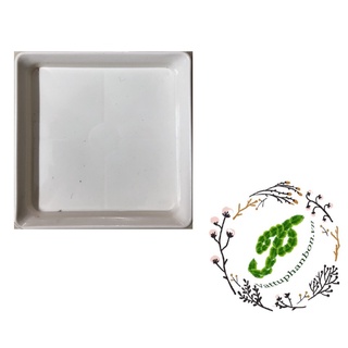 Đĩa lót chậu Vuông 12cm - #065D#