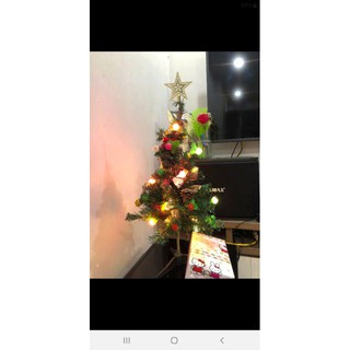 Cây thông Noel chiều cao 60cm(Full phụ kiện)