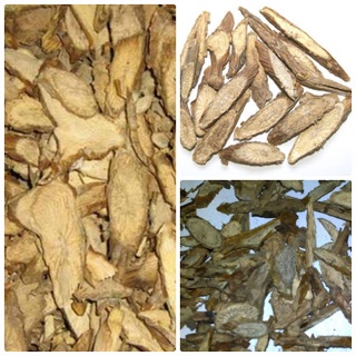 Dây đau xương / cây đau xương 1kg loại 1