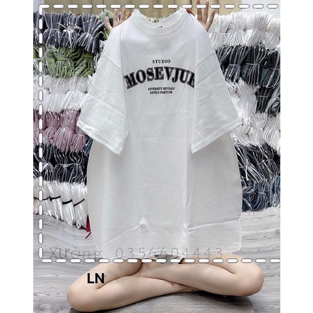 Áo phông MOSE LN12