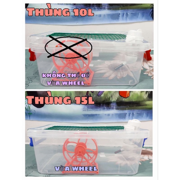 Thùng nhựa 10L-15L nuôi Hamster có vách ngăn đôi