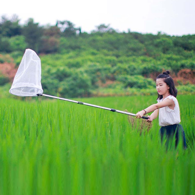 Vợt lưới bắt côn trùng bằng hợp kim nhôm có thể kéo dài và thu gọn lại thích hợp cho hoạt động ngoài trời