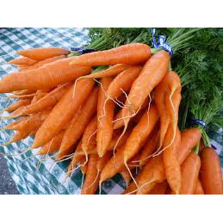 Hạt giống Cà Rốt F1
