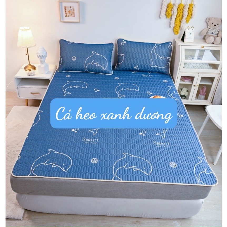Chiếu điều hòa cao su non ,tặng kèm 2 vỏ gối cùng loại, kích thước 1m6/1m8/2m2