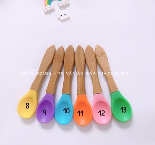 Thìa silicon cán gỗ