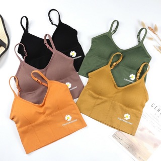 SIÊU ĐẸP - Bra Tập Gym, Đi Biển Hình Hoa Cúc Cute