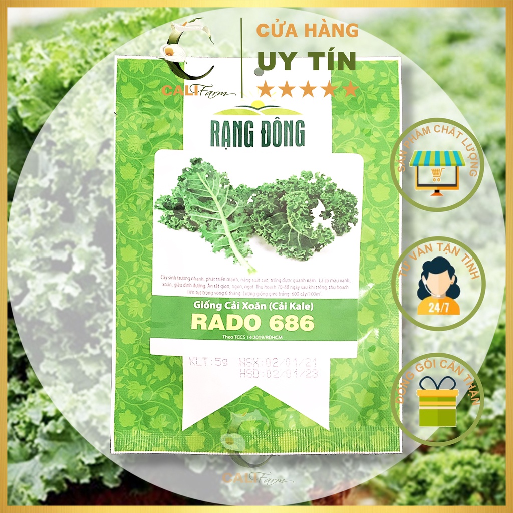 Hạt Giống Cải Xoăn (Cải Kale) Rado 686 (5gr) Dễ Trồng, Năng Suất Cao