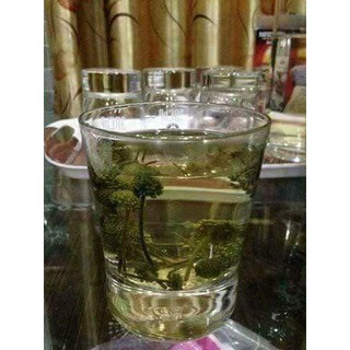 Nụ hoa tam thất
