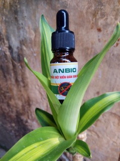 Diệt gián kiến sinh học Anbio