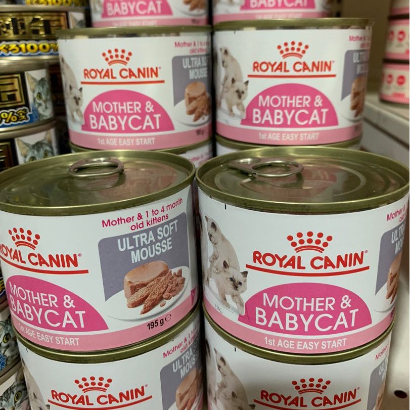 Pate Mèo Royal Canin Mother & Babycat Cho Mèo Mẹ & Mèo Con