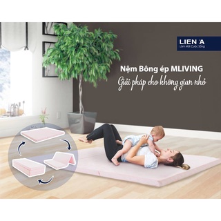Đệm bông ép liên á mliving - giường đôi