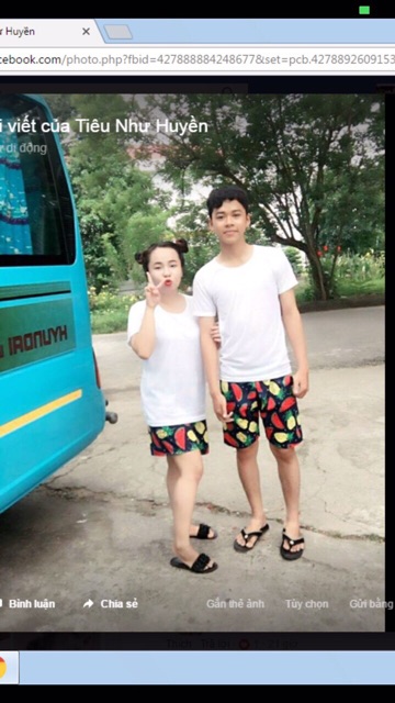 Quần hoa quả các loại