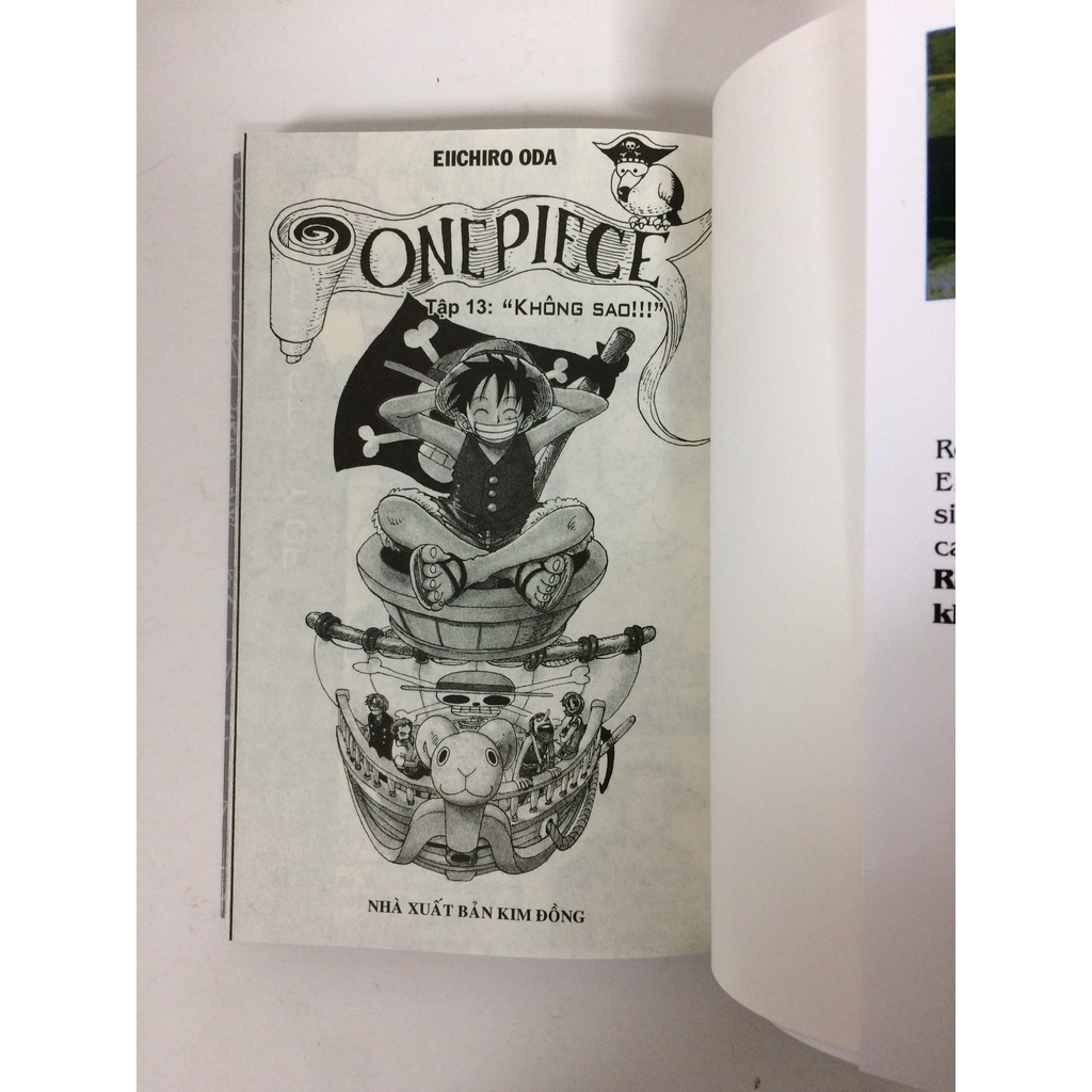 Sách - One piece - Tập 13 (Bìa rời)