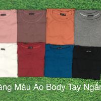 Áo thun gân tay ngắn, áo thun nữ babytee body dáng chuẩn -Lylyna A01