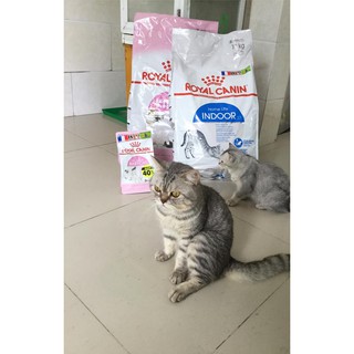 Thức ăn Royal Canin Indoor cho mèo ít vận động bao 10kg