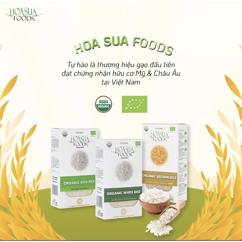 Gạo hữu cơ ST25 Hoa Sữa 1kg