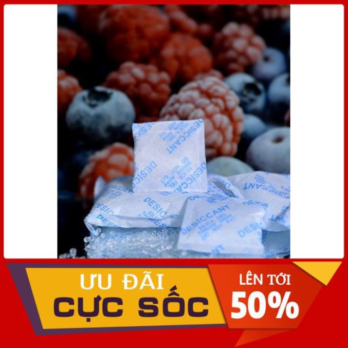 [MUA NHANH KẺO HẾT] Gói hút ẩm, chống ẩm loại lớn treo container, hút ẩm tủ quần áo, nhà kho Silica gel có loại 1000gram