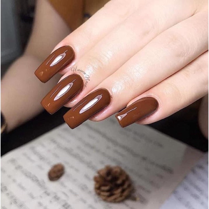 Sét sơn gel tone nâu 9 màu kèm bảng