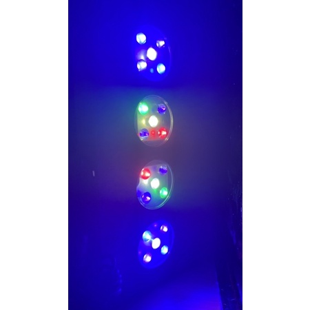 Đèn bể cá biển Hydra AI