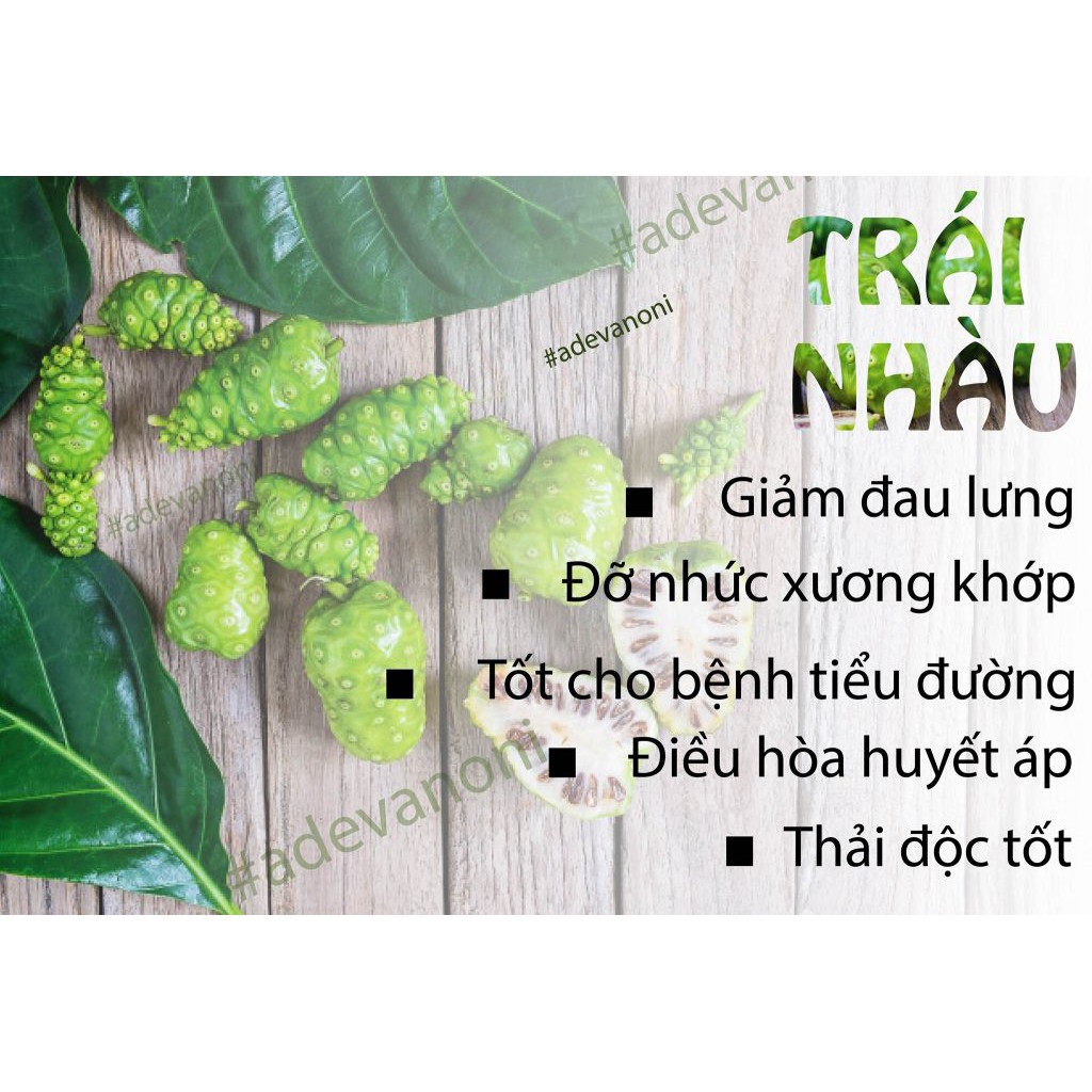 Noni Fruit - Bột Trái Nhàu SPICESUPPLY Việt Nam nguyên chất SPICESUPPLY hũ 60g