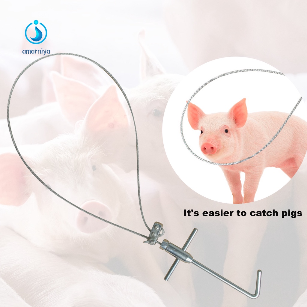 Dụng cụ bắt heo bằng thép không gỉ chống ăn mòn có thể điều chỉnh được