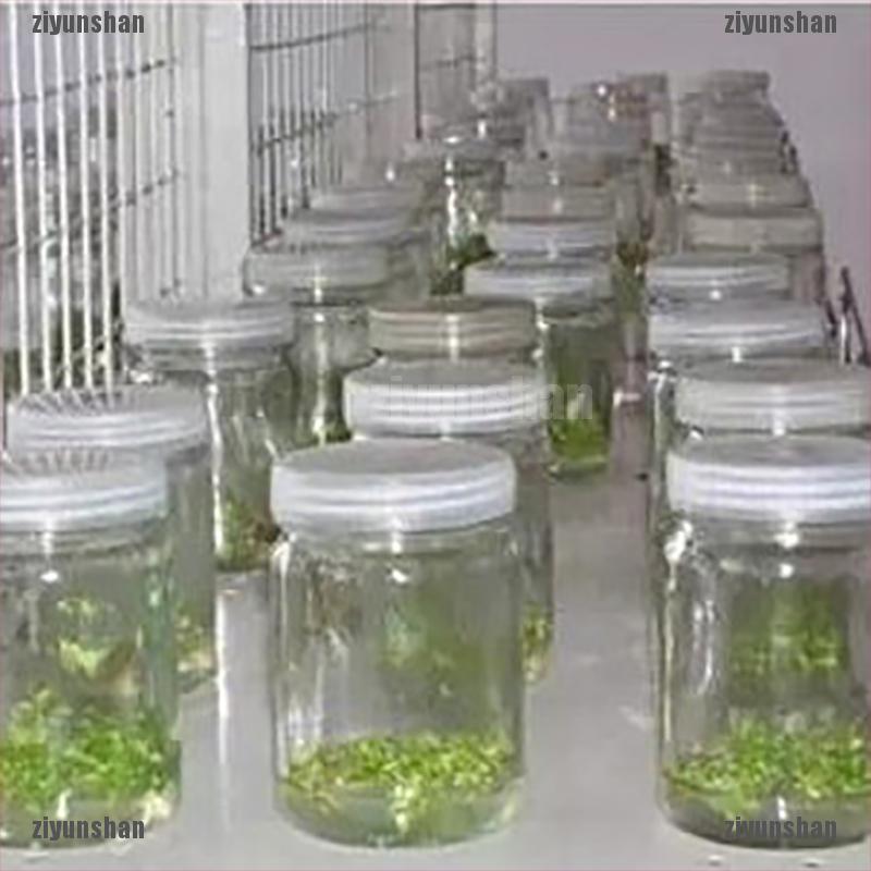 Nắp Bình Giấy Chịu Nhiệt Cao Thoáng Khí Chất Lượng