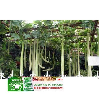 Hạt giống bầu dài 2m Bầu Siêu Dài 5 Hạt