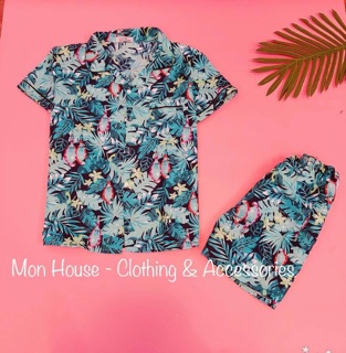 combo 3 bộ đùi 255k