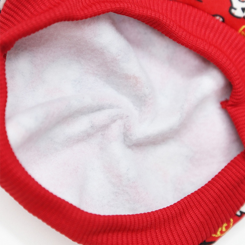 MỚI Trang phục giáng sinh năm mới cho thú cưng