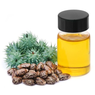 MASCARA DẦU CASTOR ( MASCARA CASTOR OIL)