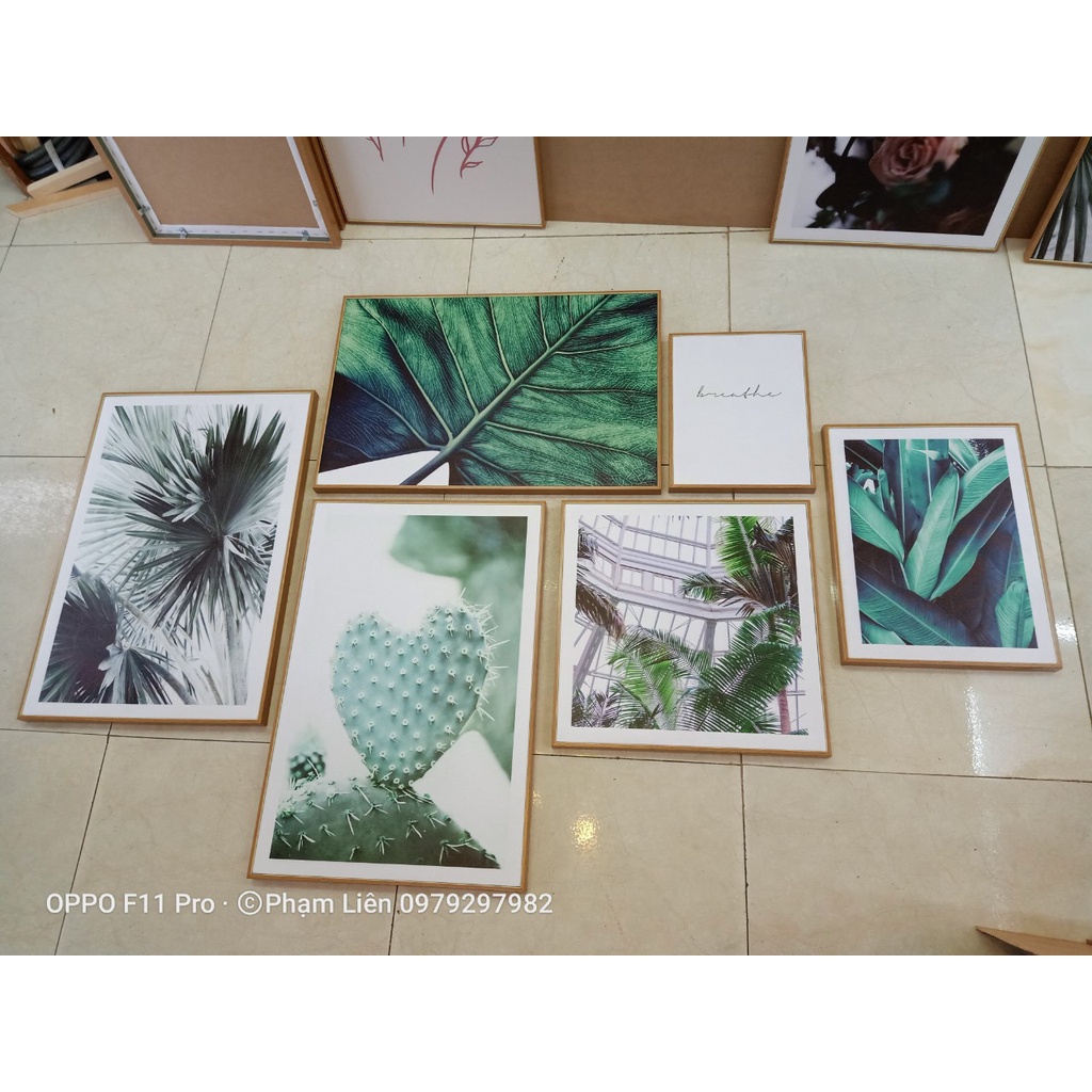 Tranh canvas chim công hoa mẫu đơn 60x120 giá kèm khung nhựa composite