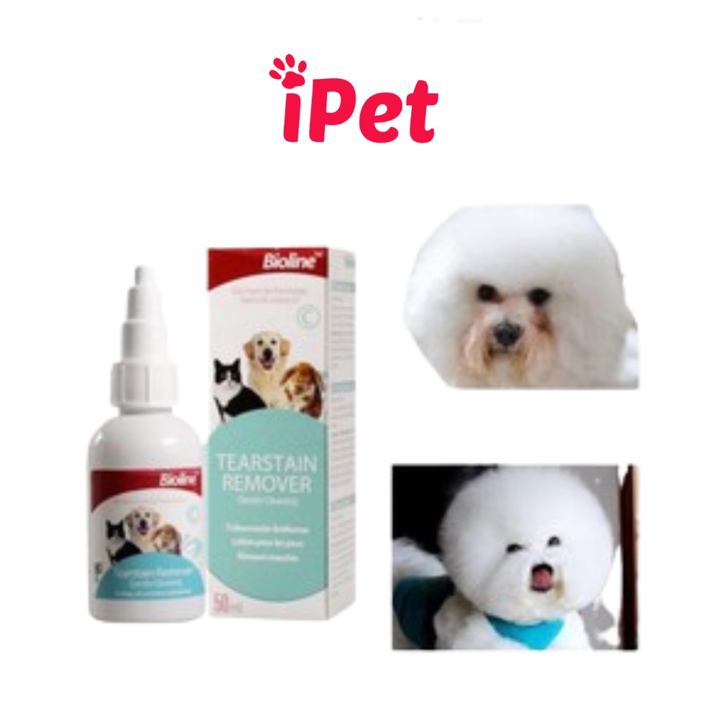 Nước Rửa Vệ Sinh Mắt Cho Thú Cưng Chó Mèo Eye Care Bioline 50ml - iPet Shop