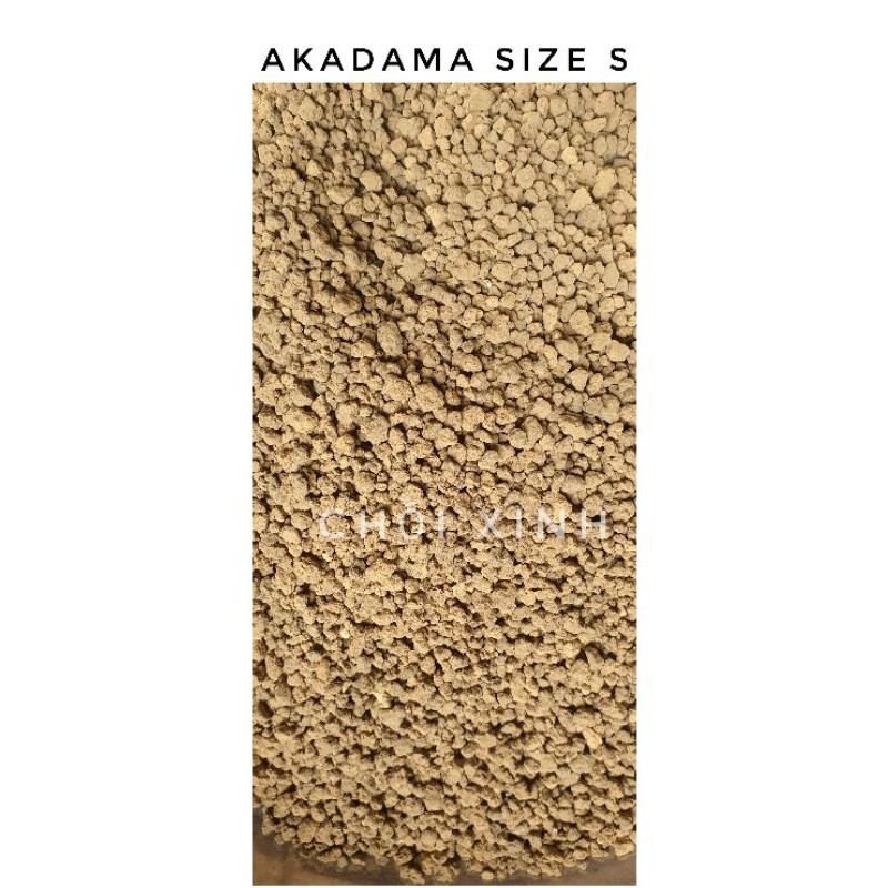 1kg đất sét akadama Nhật Bản size S