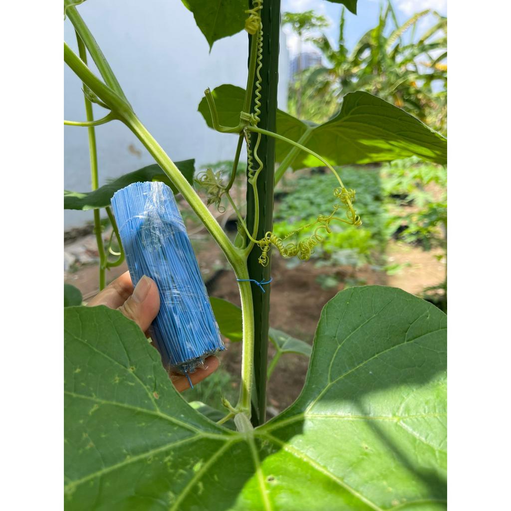 100 dây kẽm bọc nhựa 10cm