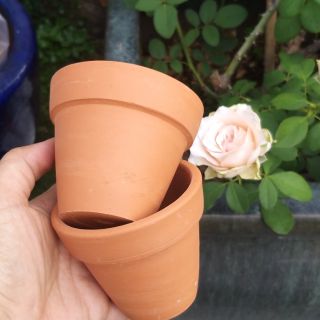 Chậu mini cao trung 8cm×7cm