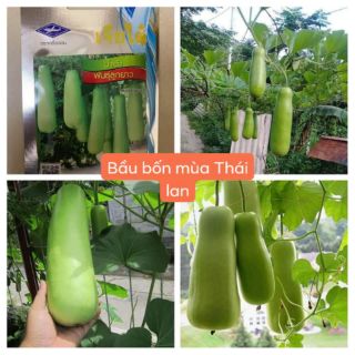 BẦU BỐN MÙA THÁI LAN