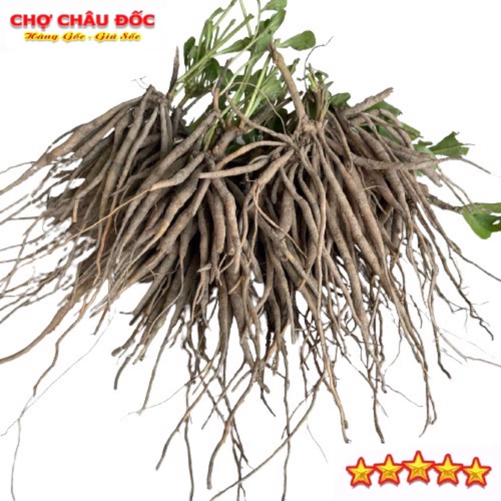 1 Kg Củ Sâm Đất Tươi Hay Cây Trái Nổ Dùng Nấu Nướng Uống