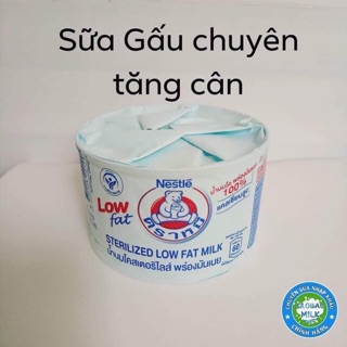 SỮA GẤU NESTLE THÁI LAN