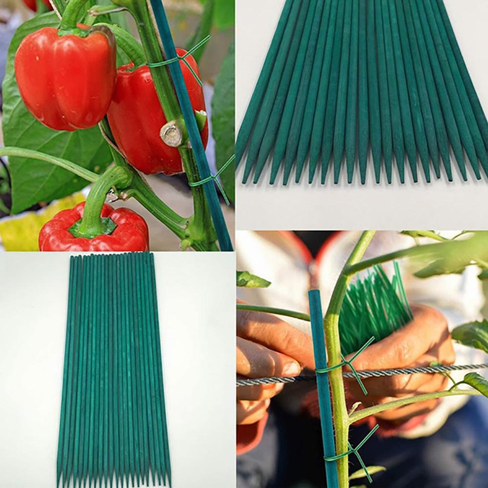Que Tre Hỗ Trợ Trồng Cây Thân Dài 40cm