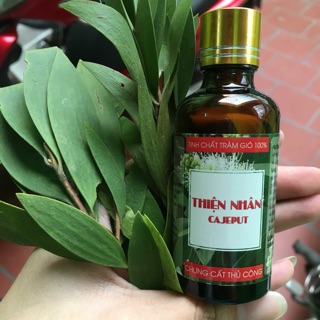 Dầu tràm nguyên chất