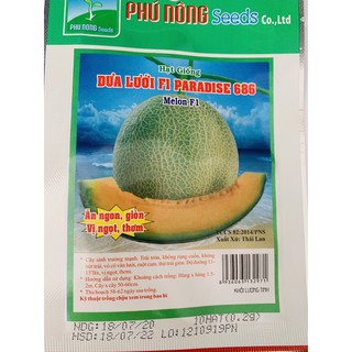 Hạt giống dưa lưới